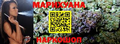 сатива Лесосибирск