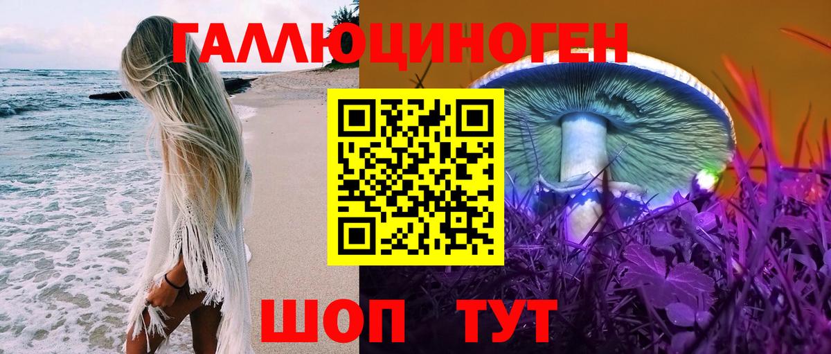 Йошкар-Ола  наркота  Вход с VPN  Псилоцибиновые грибы мицелий 