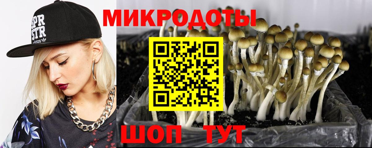 Псилоцибиновые грибы прущие грибы Йошкар-Ола